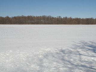 Property photo 55 - REAL ESTATE AUCTION - 345+/- ACRES OFFERED IN 13 TRACTS IN LAPORTE COUNTY, INDIANA