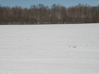 Property photo 64 - REAL ESTATE AUCTION - 345+/- ACRES OFFERED IN 13 TRACTS IN LAPORTE COUNTY, INDIANA