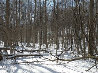 Property photo 49 - REAL ESTATE AUCTION - 345+/- ACRES OFFERED IN 13 TRACTS IN LAPORTE COUNTY, INDIANA