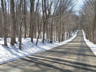 Property photo 23 - REAL ESTATE AUCTION - 345+/- ACRES OFFERED IN 13 TRACTS IN LAPORTE COUNTY, INDIANA