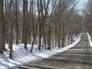 Property photo 61 - REAL ESTATE AUCTION - 345+/- ACRES OFFERED IN 13 TRACTS IN LAPORTE COUNTY, INDIANA
