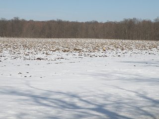 Property photo 30 - REAL ESTATE AUCTION - 345+/- ACRES OFFERED IN 13 TRACTS IN LAPORTE COUNTY, INDIANA