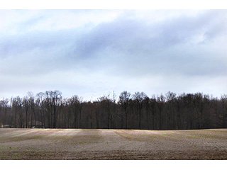 Property photo 4 - LAND AUCTION - 33.64+/- ACRES IN 2 TRACTS IN KOSCIUSKO COUNTY, INDIANA