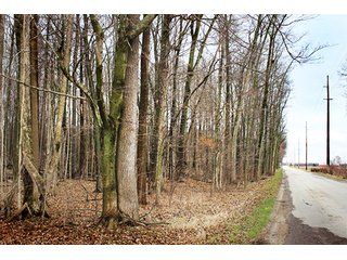 Property photo 2 - LAND AUCTION - 33.64+/- ACRES IN 2 TRACTS IN KOSCIUSKO COUNTY, INDIANA