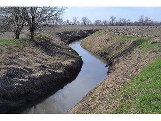 Property photo 11 - LAND AUCTION - 137+/- ACRES OFFERED IN 1 TRACT IN JASPER COUNTY, INDIANA