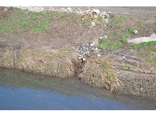 Property photo 10 - LAND AUCTION - 137+/- ACRES OFFERED IN 1 TRACT IN JASPER COUNTY, INDIANA