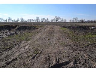 Property photo 2 - LAND AUCTION - 137+/- ACRES OFFERED IN 1 TRACT IN JASPER COUNTY, INDIANA