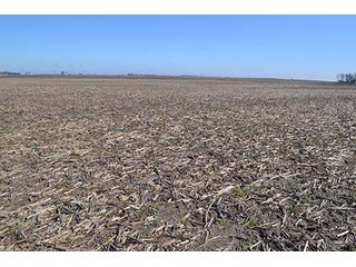 Property photo 6 - LAND AUCTION - 137+/- ACRES OFFERED IN 1 TRACT IN JASPER COUNTY, INDIANA
