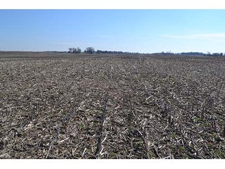 Property photo 3 - LAND AUCTION - 137+/- ACRES OFFERED IN 1 TRACT IN JASPER COUNTY, INDIANA