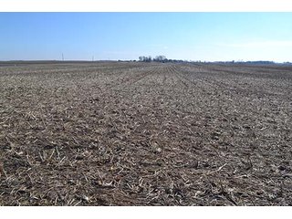 Property photo 4 - LAND AUCTION - 137+/- ACRES OFFERED IN 1 TRACT IN JASPER COUNTY, INDIANA