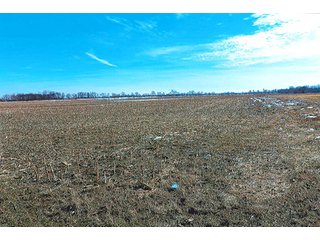 Property photo 5 - LAND AUCTION - 137+/- ACRES OFFERED IN 1 TRACT IN JASPER COUNTY, INDIANA