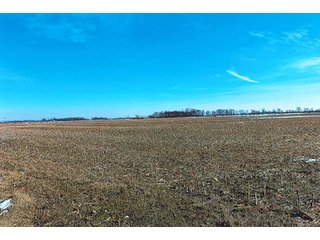 Property photo 1 - LAND AUCTION - 137+/- ACRES OFFERED IN 1 TRACT IN JASPER COUNTY, INDIANA