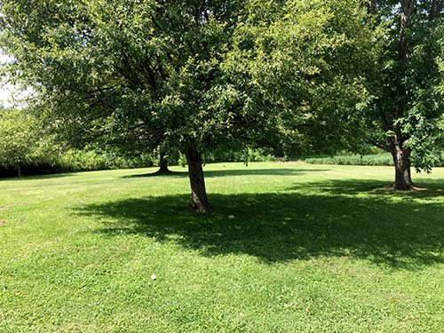 Property photo 10 - REAL ESTATE AUCTION - 1.5 STORY COUNTRY HOME ON 1.76 ACRES IN NOBLE COUNTY, INDIANA
