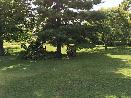 Property photo 9 - REAL ESTATE AUCTION - 1.5 STORY COUNTRY HOME ON 1.76 ACRES IN NOBLE COUNTY, INDIANA