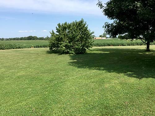 Property photo 7 - REAL ESTATE AUCTION - 1.5 STORY COUNTRY HOME ON 1.76 ACRES IN NOBLE COUNTY, INDIANA