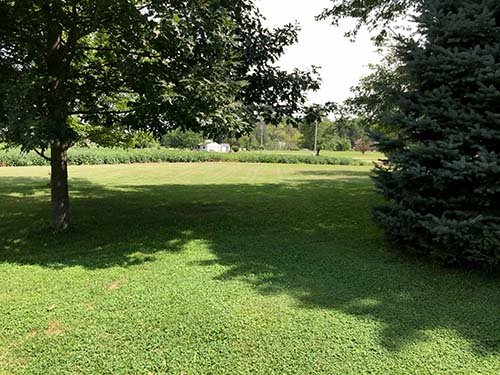 Property photo 8 - REAL ESTATE AUCTION - 1.5 STORY COUNTRY HOME ON 1.76 ACRES IN NOBLE COUNTY, INDIANA