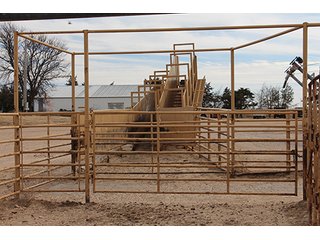 Property photo 90 - LAND AUCTION - 9,480+/- ACRES OFFERED IN 5 TRACTS IN FINNEY & HASKELL COUNTIES, KANSAS