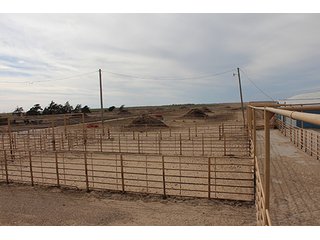 Property photo 88 - LAND AUCTION - 9,480+/- ACRES OFFERED IN 5 TRACTS IN FINNEY & HASKELL COUNTIES, KANSAS