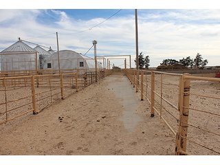 Property photo 82 - LAND AUCTION - 9,480+/- ACRES OFFERED IN 5 TRACTS IN FINNEY & HASKELL COUNTIES, KANSAS