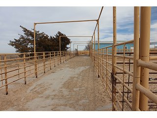 Property photo 84 - LAND AUCTION - 9,480+/- ACRES OFFERED IN 5 TRACTS IN FINNEY & HASKELL COUNTIES, KANSAS