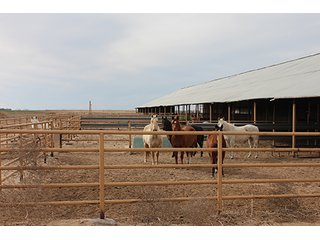 Property photo 81 - LAND AUCTION - 9,480+/- ACRES OFFERED IN 5 TRACTS IN FINNEY & HASKELL COUNTIES, KANSAS