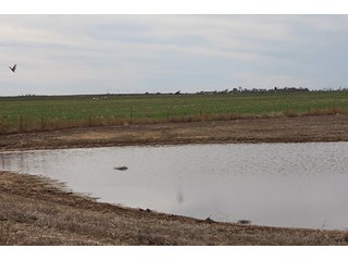 Property photo 39 - LAND AUCTION - 9,480+/- ACRES OFFERED IN 5 TRACTS IN FINNEY & HASKELL COUNTIES, KANSAS