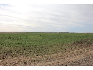 Property photo 19 - LAND AUCTION - 9,480+/- ACRES OFFERED IN 5 TRACTS IN FINNEY & HASKELL COUNTIES, KANSAS