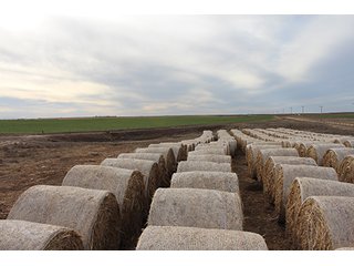 Property photo 94 - LAND AUCTION - 9,480+/- ACRES OFFERED IN 5 TRACTS IN FINNEY & HASKELL COUNTIES, KANSAS