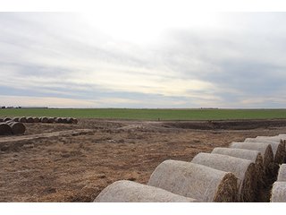 Property photo 95 - LAND AUCTION - 9,480+/- ACRES OFFERED IN 5 TRACTS IN FINNEY & HASKELL COUNTIES, KANSAS