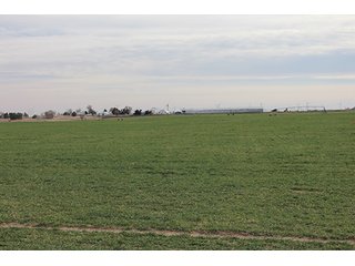 Property photo 33 - LAND AUCTION - 9,480+/- ACRES OFFERED IN 5 TRACTS IN FINNEY & HASKELL COUNTIES, KANSAS