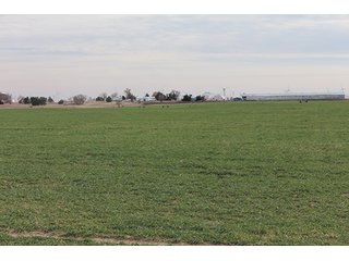 Property photo 30 - LAND AUCTION - 9,480+/- ACRES OFFERED IN 5 TRACTS IN FINNEY & HASKELL COUNTIES, KANSAS