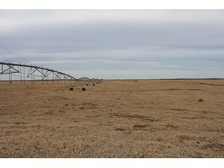 Property photo 35 - LAND AUCTION - 9,480+/- ACRES OFFERED IN 5 TRACTS IN FINNEY & HASKELL COUNTIES, KANSAS