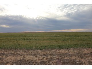 Property photo 22 - LAND AUCTION - 9,480+/- ACRES OFFERED IN 5 TRACTS IN FINNEY & HASKELL COUNTIES, KANSAS