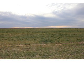 Property photo 21 - LAND AUCTION - 9,480+/- ACRES OFFERED IN 5 TRACTS IN FINNEY & HASKELL COUNTIES, KANSAS