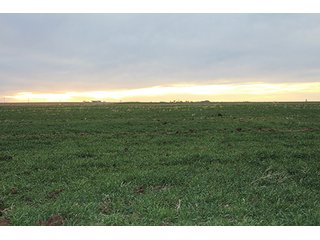 Property photo 29 - LAND AUCTION - 9,480+/- ACRES OFFERED IN 5 TRACTS IN FINNEY & HASKELL COUNTIES, KANSAS