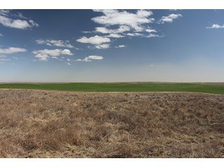 Property photo 37 - LAND AUCTION - 9,480+/- ACRES OFFERED IN 5 TRACTS IN FINNEY & HASKELL COUNTIES, KANSAS