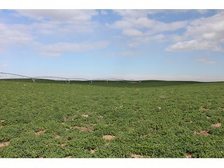 Property photo 2 - LAND AUCTION - 9,480+/- ACRES OFFERED IN 5 TRACTS IN FINNEY & HASKELL COUNTIES, KANSAS