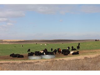 Property photo 13 - LAND AUCTION - 9,480+/- ACRES OFFERED IN 5 TRACTS IN FINNEY & HASKELL COUNTIES, KANSAS
