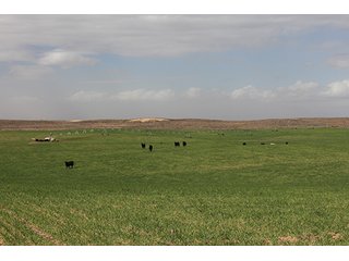 Property photo 14 - LAND AUCTION - 9,480+/- ACRES OFFERED IN 5 TRACTS IN FINNEY & HASKELL COUNTIES, KANSAS