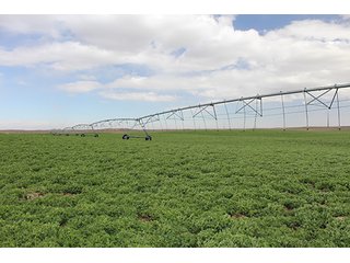 Property photo 1 - LAND AUCTION - 9,480+/- ACRES OFFERED IN 5 TRACTS IN FINNEY & HASKELL COUNTIES, KANSAS