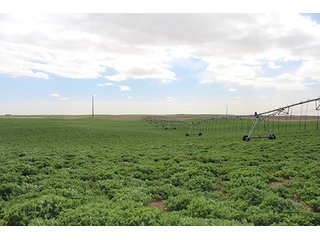 Property photo 10 - LAND AUCTION - 9,480+/- ACRES OFFERED IN 5 TRACTS IN FINNEY & HASKELL COUNTIES, KANSAS