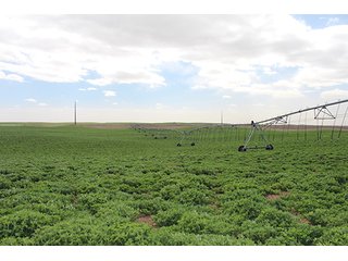 Property photo 3 - LAND AUCTION - 9,480+/- ACRES OFFERED IN 5 TRACTS IN FINNEY & HASKELL COUNTIES, KANSAS