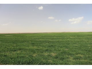Property photo 5 - LAND AUCTION - 9,480+/- ACRES OFFERED IN 5 TRACTS IN FINNEY & HASKELL COUNTIES, KANSAS