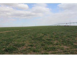 Property photo 6 - LAND AUCTION - 9,480+/- ACRES OFFERED IN 5 TRACTS IN FINNEY & HASKELL COUNTIES, KANSAS