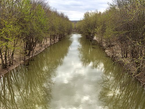Property photo 4 - LAND AUCTION - 192+/- ACRES OFFERED IN 1 TRACT IN SALINE COUNTY, ILLINOIS