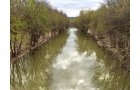 Property photo 4 - LAND AUCTION - 192+/- ACRES OFFERED IN 1 TRACT IN SALINE COUNTY, ILLINOIS