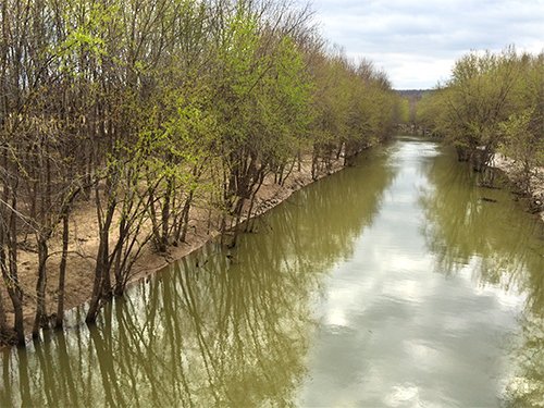 Property photo 5 - LAND AUCTION - 192+/- ACRES OFFERED IN 1 TRACT IN SALINE COUNTY, ILLINOIS