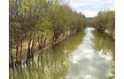 Property photo 5 - LAND AUCTION - 192+/- ACRES OFFERED IN 1 TRACT IN SALINE COUNTY, ILLINOIS