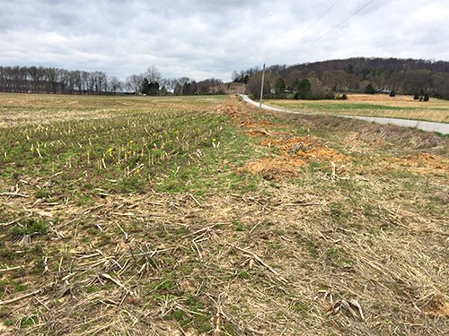 Property photo 2 - LAND AUCTION - 192+/- ACRES OFFERED IN 1 TRACT IN SALINE COUNTY, ILLINOIS