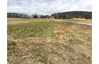 Property photo 2 - LAND AUCTION - 192+/- ACRES OFFERED IN 1 TRACT IN SALINE COUNTY, ILLINOIS